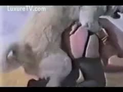 A large, fluffy dog enjoys slapping his adorable owner.